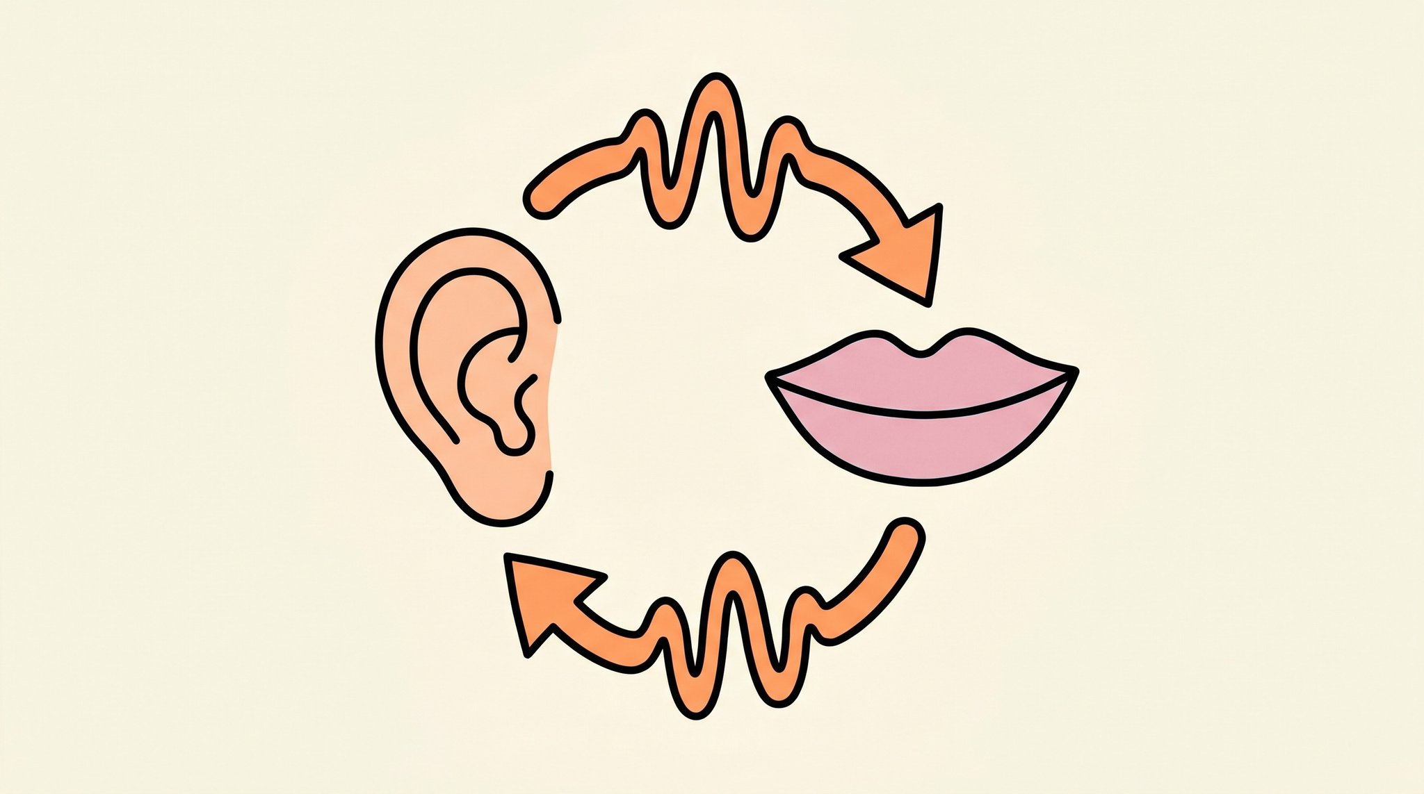耳と口がループでつながる図（発音と一緒に覚える）